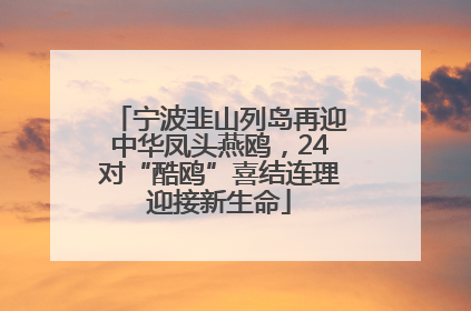 宁波韭山列岛再迎中华凤头燕鸥，24对“酷鸥”喜结连理迎接新生命