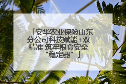 安华农业保险山东分公司科技赋能+双精准 筑牢粮食安全“稳定器”