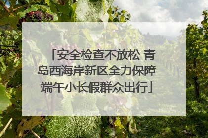 安全检查不放松 青岛西海岸新区全力保障端午小长假群众出行