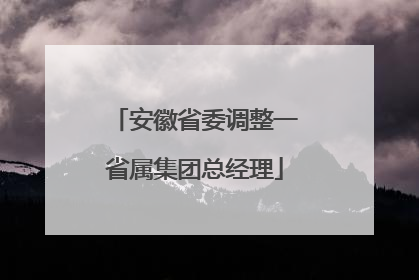安徽省委调整一省属集团总经理