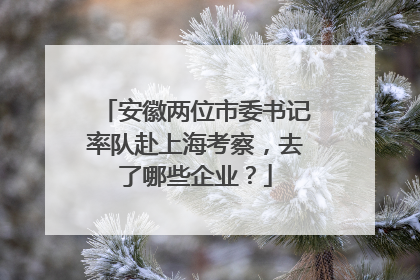 安徽两位市委书记率队赴上海考察，去了哪些企业？