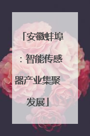 安徽蚌埠：智能传感器产业集聚发展