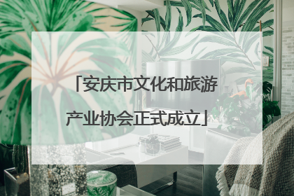 安庆市文化和旅游产业协会正式成立