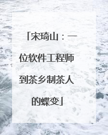 宋琦山：一位软件工程师到茶乡制茶人的蝶变
