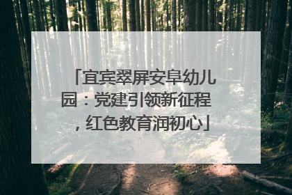 宜宾翠屏安阜幼儿园：党建引领新征程，红色教育润初心