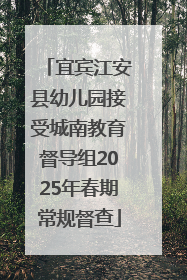 宜宾江安县幼儿园接受城南教育督导组2025年春期常规督查