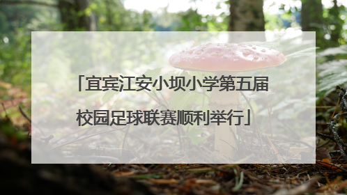 宜宾江安小坝小学第五届校园足球联赛顺利举行