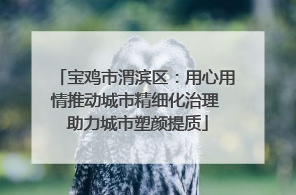 宝鸡市渭滨区：用心用情推动城市精细化治理 助力城市塑颜提质