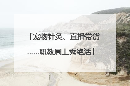 宠物针灸、直播带货……职教周上秀绝活