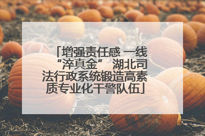 增强责任感 一线“淬真金” 湖北司法行政系统锻造高素质专业化干警队伍