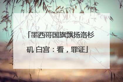 墨西哥国旗飘扬洛杉矶 白宫：看，罪证