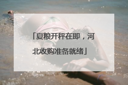 夏粮开秤在即，河北收购准备就绪