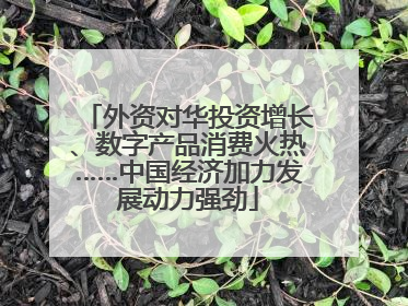 外资对华投资增长、数字产品消费火热……中国经济加力发展动力强劲