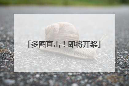 多图直击！即将开桨