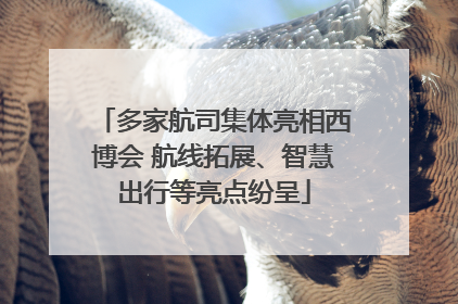 多家航司集体亮相西博会 航线拓展、智慧出行等亮点纷呈