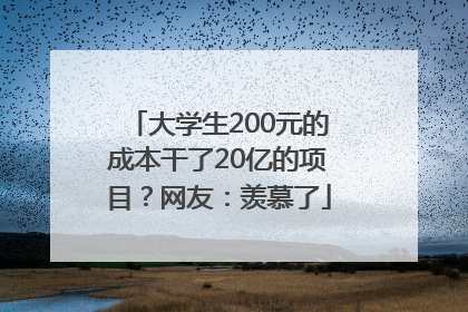 大学生200元的成本干了20亿的项目？网友：羡慕了