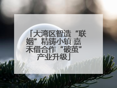 大湾区智造“联姻”精铸小镇 嘉禾借合作“破茧”产业升级