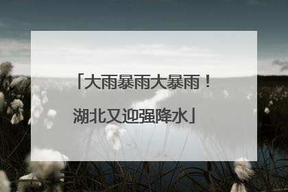 大雨暴雨大暴雨！湖北又迎强降水