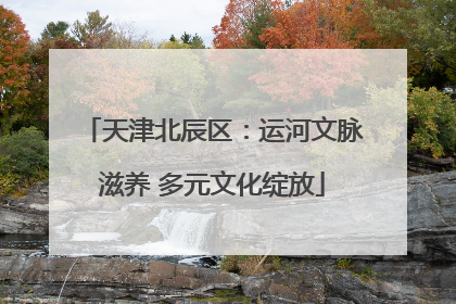 天津北辰区：运河文脉滋养 多元文化绽放
