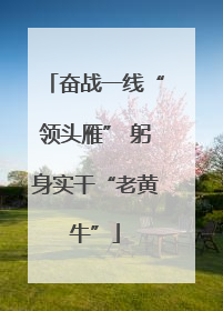 奋战一线“领头雁” 躬身实干“老黄牛”