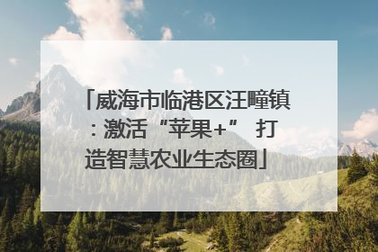威海市临港区汪疃镇：激活“苹果+” 打造智慧农业生态圈