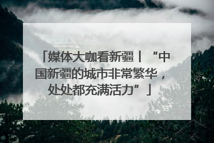 媒体大咖看新疆丨“中国新疆的城市非常繁华，处处都充满活力”