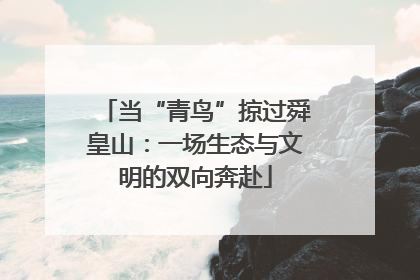 当“青鸟”掠过舜皇山：一场生态与文明的双向奔赴