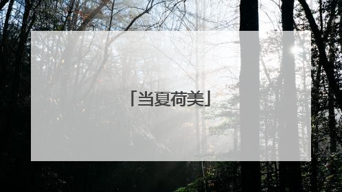 当夏荷美