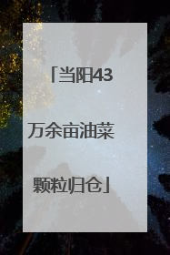 当阳43万余亩油菜颗粒归仓