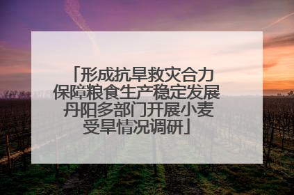 形成抗旱救灾合力 保障粮食生产稳定发展 丹阳多部门开展小麦受旱情况调研