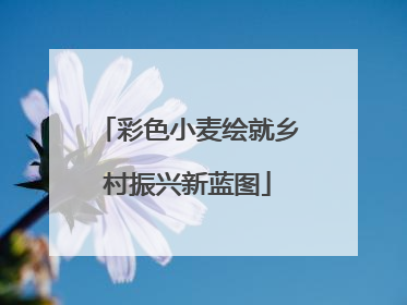 彩色小麦绘就乡村振兴新蓝图