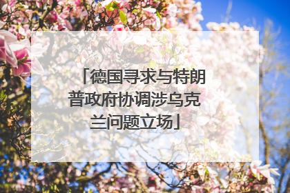 德国寻求与特朗普政府协调涉乌克兰问题立场