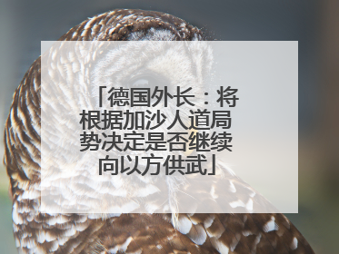德国外长：将根据加沙人道局势决定是否继续向以方供武