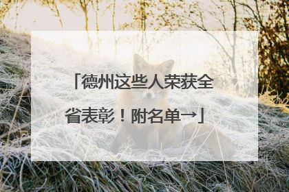 德州这些人荣获全省表彰！附名单→