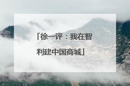 徐一评：我在智利建中国商城