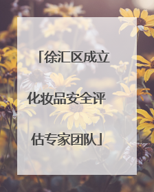 徐汇区成立化妆品安全评估专家团队