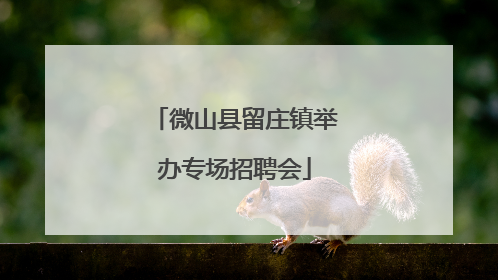 微山县留庄镇举办专场招聘会