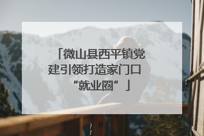 微山县西平镇党建引领打造家门口“就业圈”