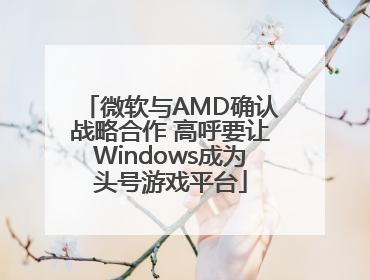 微软与AMD确认战略合作 高呼要让Windows成为头号游戏平台