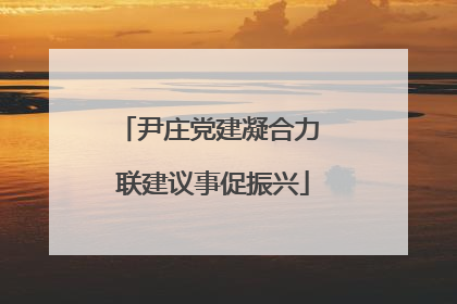 尹庄党建凝合力 联建议事促振兴