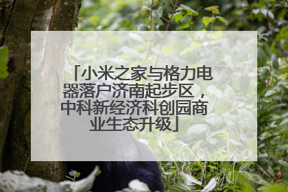 小米之家与格力电器落户济南起步区，中科新经济科创园商业生态升级