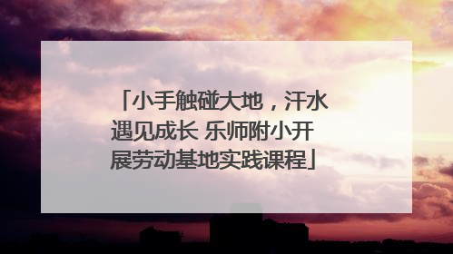 小手触碰大地，汗水遇见成长 乐师附小开展劳动基地实践课程