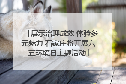 展示治理成效 体验多元魅力 石家庄将开展六五环境日主题活动