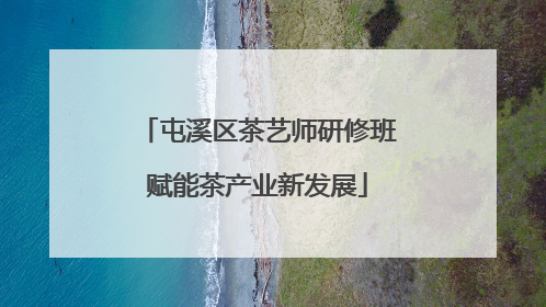 屯溪区茶艺师研修班赋能茶产业新发展