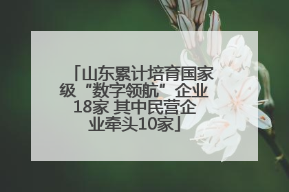 山东累计培育国家级“数字领航”企业18家 其中民营企业牵头10家