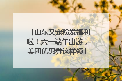 山东又宠粉发福利啦！六一端午出游，美团优惠券这样领