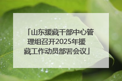山东援藏干部中心管理组召开2025年援藏工作动员部署会议