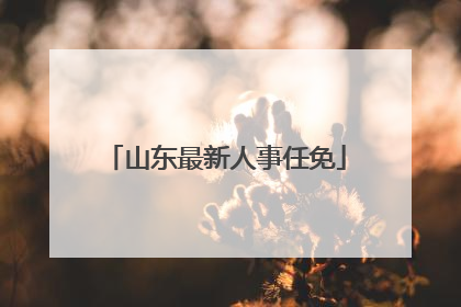 山东最新人事任免
