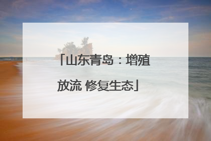 山东青岛：增殖放流 修复生态