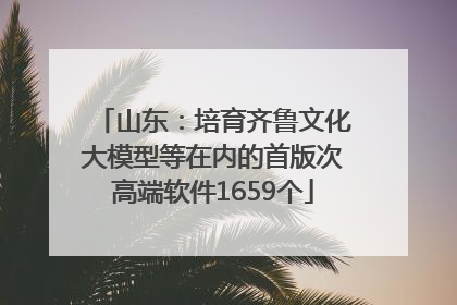 山东：培育齐鲁文化大模型等在内的首版次高端软件1659个